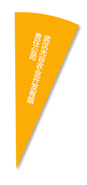 金莎国际网站官网 - welcome