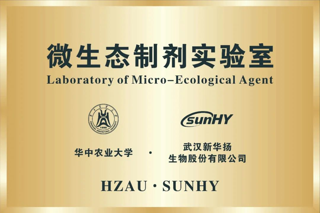 金莎国际网站官网 - welcome