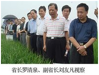 金莎国际网站官网 - welcome