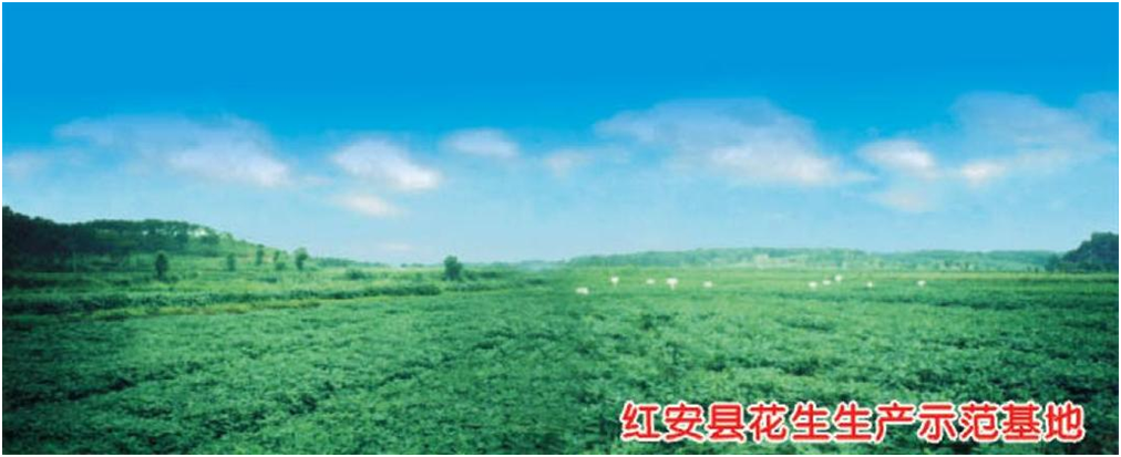 金莎国际网站官网 - welcome