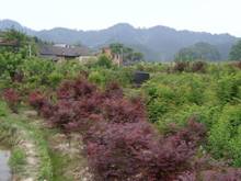 金莎国际网站官网 - welcome