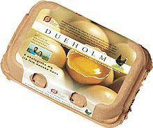 金莎国际网站官网 - welcome