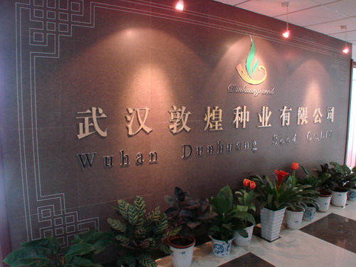 金莎国际网站官网 - welcome