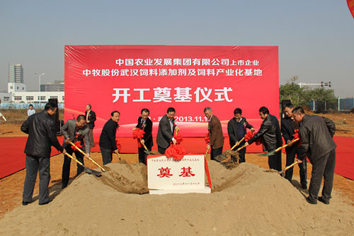 金莎国际网站官网 - welcome