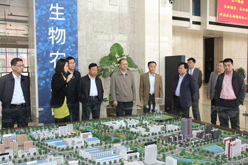 金莎国际网站官网 - welcome