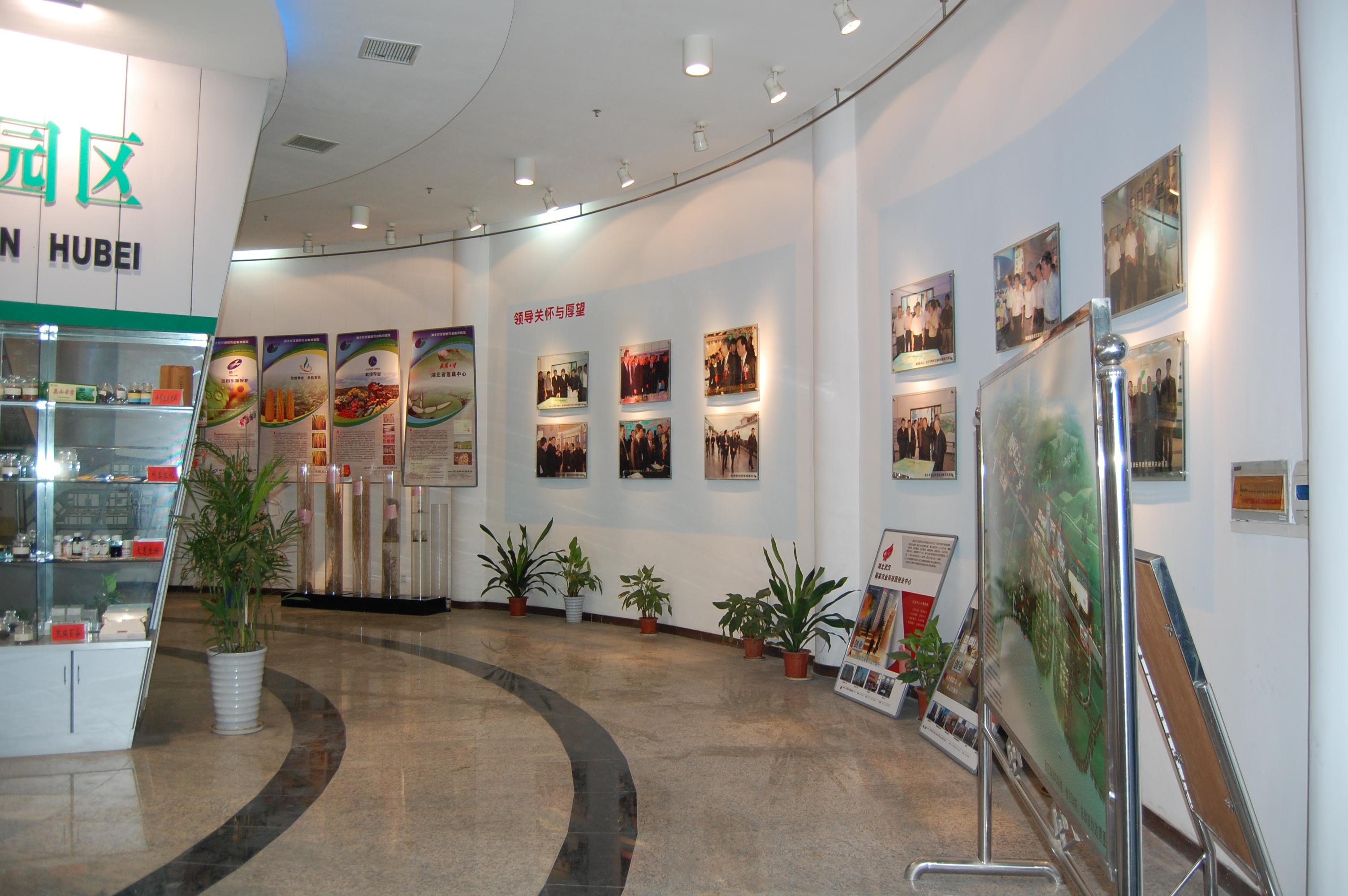 金莎国际网站官网 - welcome