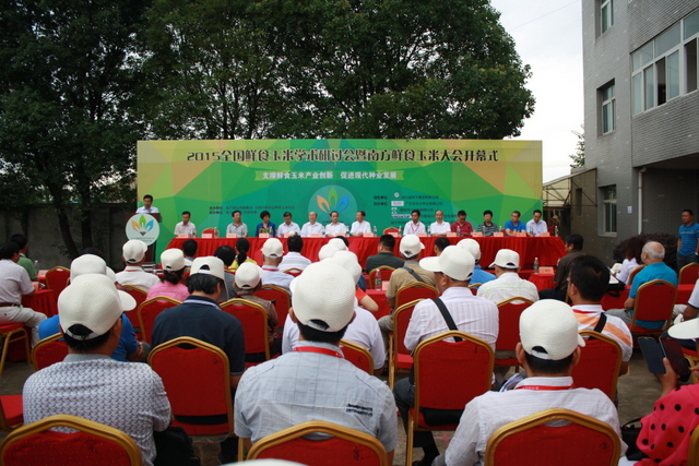 金莎国际网站官网 - welcome