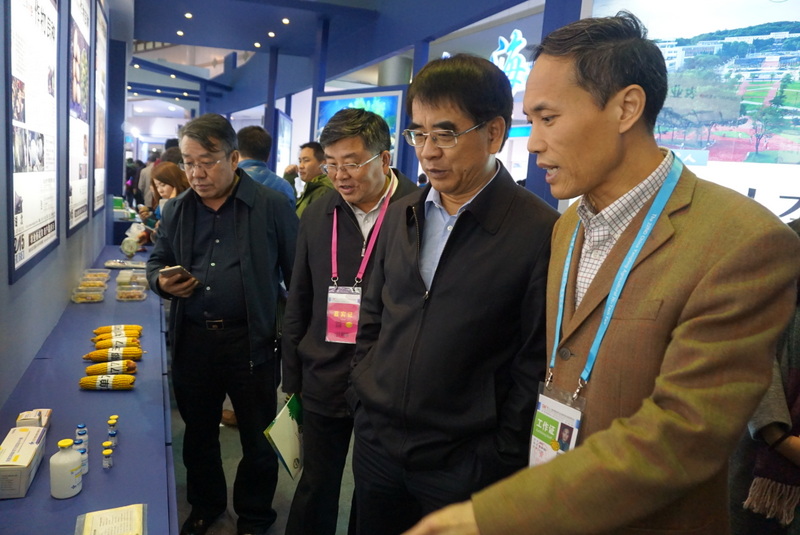 金莎国际网站官网 - welcome