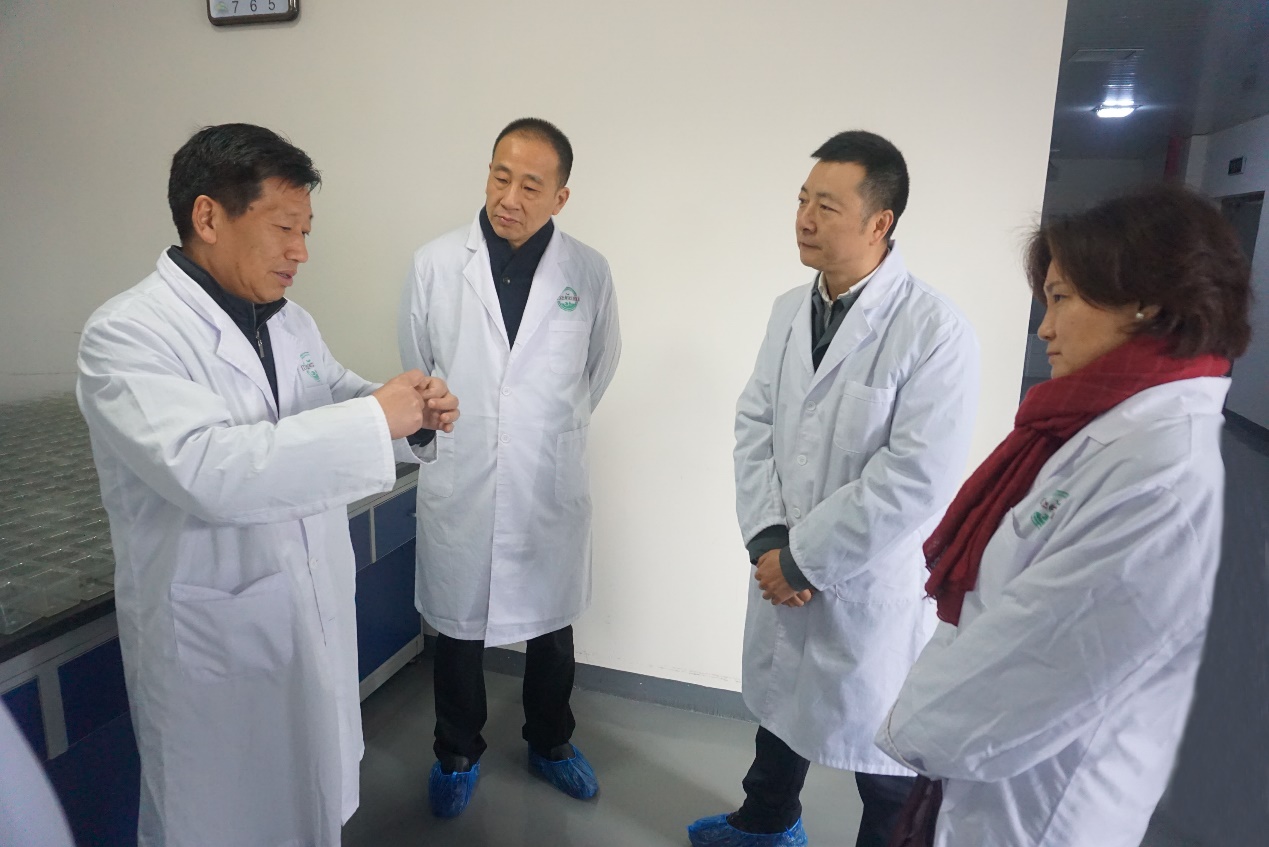 金莎国际网站官网 - welcome