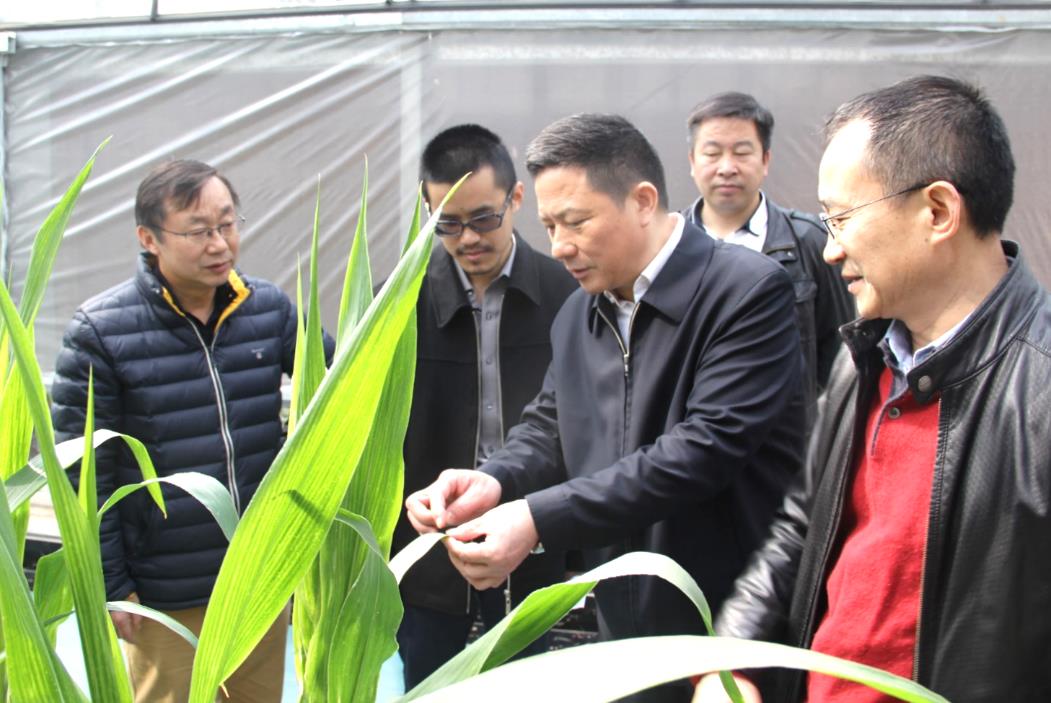 金莎国际网站官网 - welcome