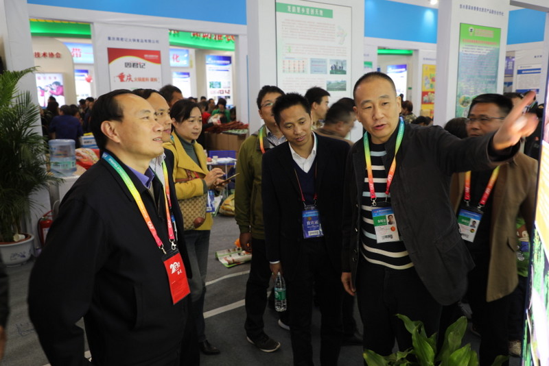 金莎国际网站官网 - welcome