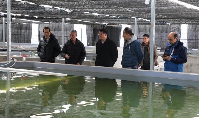 金莎国际网站官网 - welcome