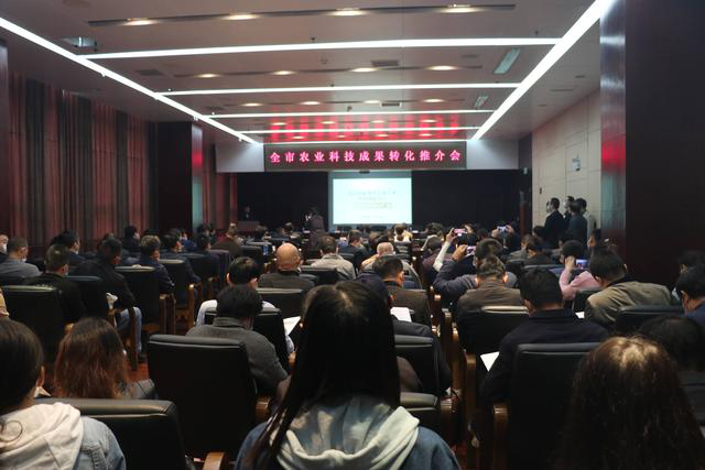 金莎国际网站官网 - welcome