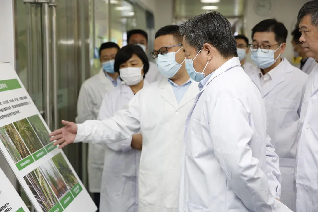 金莎国际网站官网 - welcome